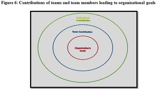 Leading and Building High Performing Teams Assignment Figure5.jpg
